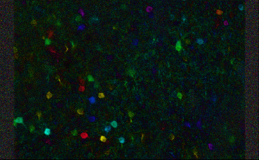 Annotation 2019-07-25 163019